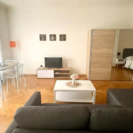 Fully Furnished Down Town *